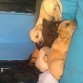 Marley con sus hermanitos. Él es el de arriba!